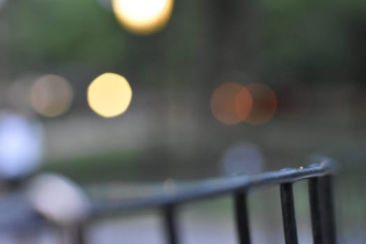 Railing in Central Park New York City, Blurred Background. High quality photo