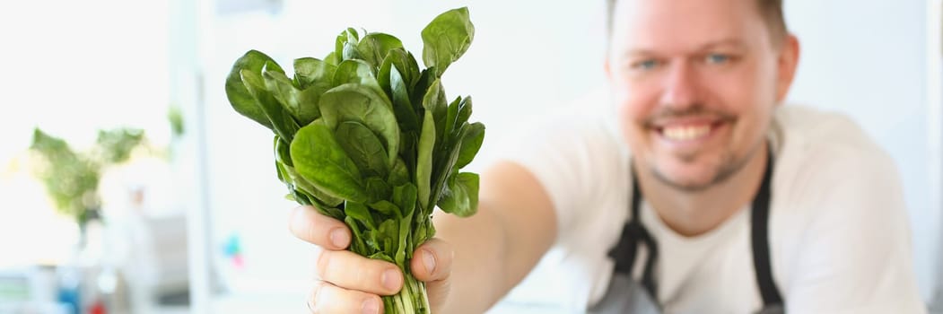 Smiling male cook holding sorrel or salad in kitchen. Healthy ways to cook vegetables concept