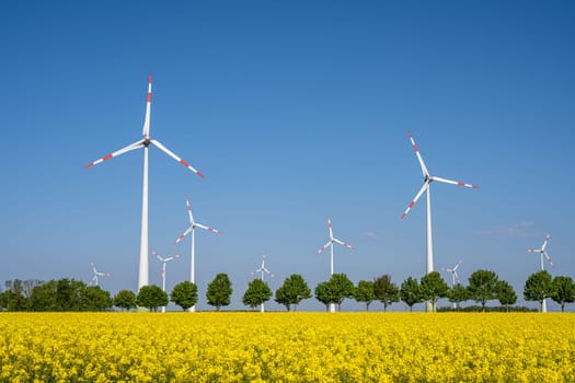 Wind turbines in a blooming rapeseed field seen in Germany