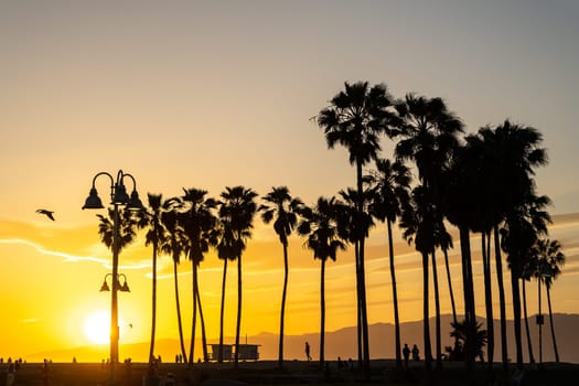 Venice Beach in Los Angeles before sunset
