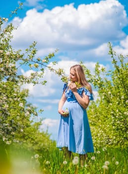 Pregnant woman in the garden of flowering apple trees. Selective focus. Nature.