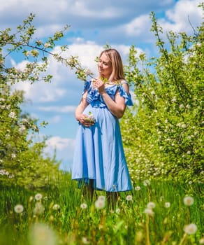 Pregnant woman in the garden of flowering apple trees. Selective focus. Nature.