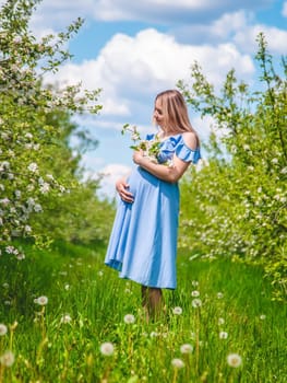 Pregnant woman in the garden of flowering apple trees. Selective focus. Nature.