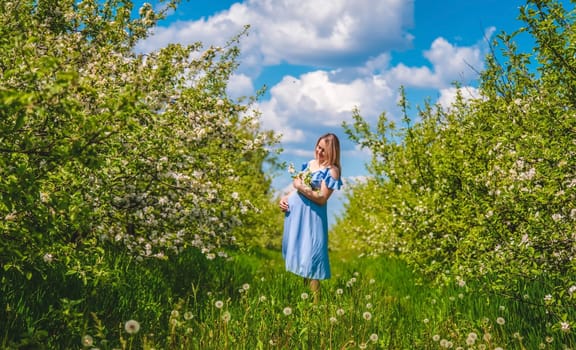 Pregnant woman in the garden of flowering apple trees. Selective focus. Nature.