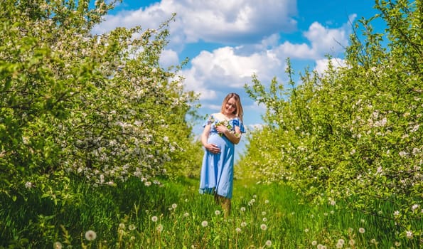 Pregnant woman in the garden of flowering apple trees. Selective focus. Nature.