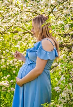 Pregnant woman in the garden of flowering apple trees. Selective focus. Nature.