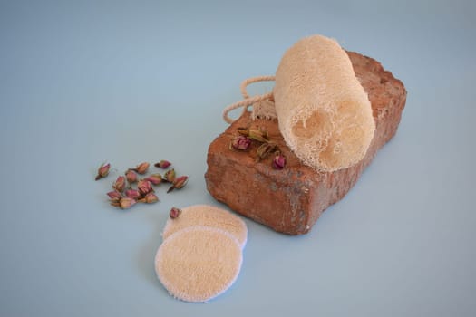 Natural Luffa Sponge. Body scrap with natural sponge on a blue background.