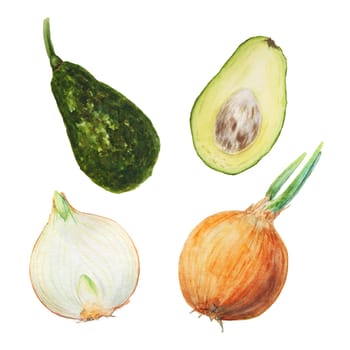 Set of avocado with leaves and flowers watercolor hand drawn realistic illustration. Green and fresh art of salad, sauce, guacamole, smoothie ingredient. For textile, menu, cards, paper, package design