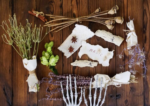 Dried herbs are lying on a wooden table. The skeleton's paws are engaged in magic. High quality photo