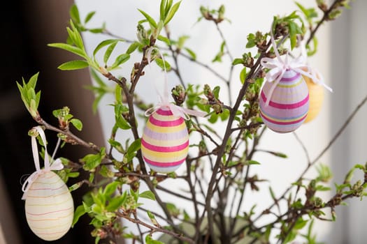 Easter eggs hanging on branch in spring
