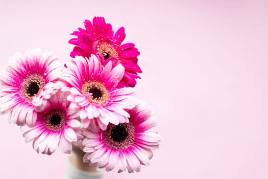 Pink gerbera flowers on white wood vintage background. Happy Mothers day design.