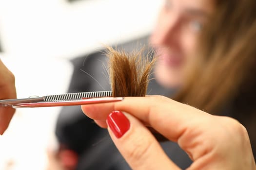 Cutting split ends with scissors closeup, hairdresser cuts brown hair with scissors. haircut closeup. Get rid of those split ends