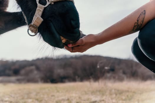 Cute happy young woman with horse. Rider female drives her horse in nature on evening sunset light background. Concept of outdoor riding, sports and recreation.