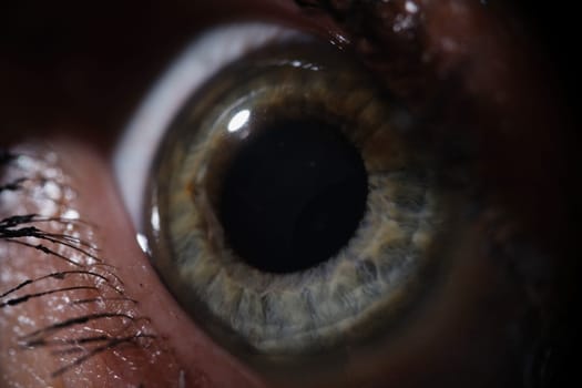 Human grey green eye looks to side in dark. Vision in dark with myopia and hyperopia concept