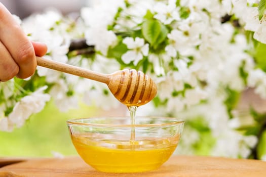 Honey dripping from wooden honey spoon in glass bowl against the background of flowering branches