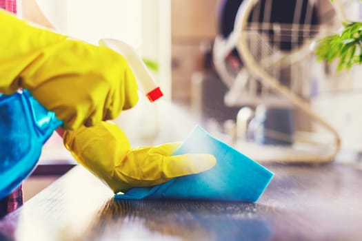 Housewife in yellow gloves wipes dust using spray detergent and rag. The woman is doing household chores. Cleaning concept