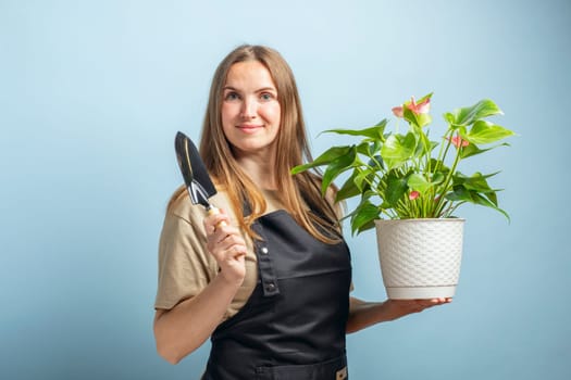 Female gardener with a spade and a flower in pot on blue background.