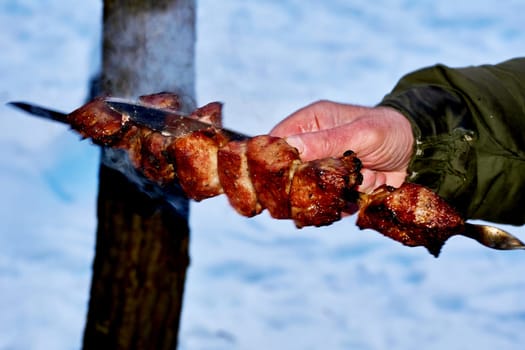 the flesh of an animal especially a mammal as food