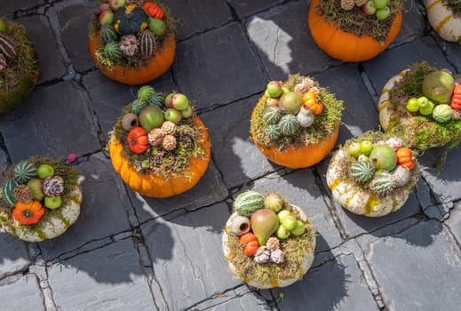 autumn decor of pumpkins and various fruits and flowers for thanksgiving or halloween. High quality photo