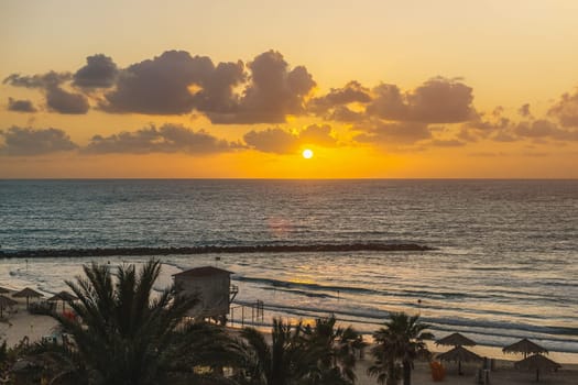 Beach through palms at sunset. Scenic coast of Mediterranean sea, sandy beach in Netanya, Israel.