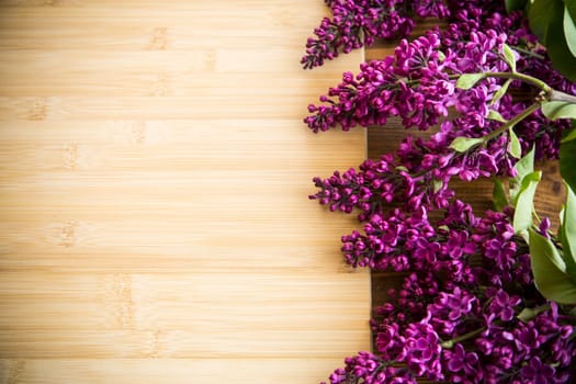 wooden background with branches of blooming beautiful lilac, empty space for text.