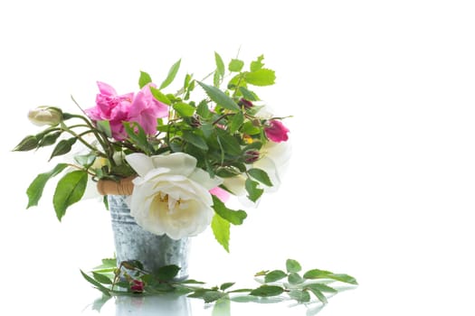 Small bouquet of beautiful summer pink and white roses, isolated on white background.