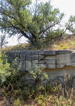 An old abandoned stone quarry where shell rock was mined for construction, eastern Crimea