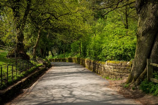 Narrow paved road with stone walls leading to distant corner with overhanging trees and bushes