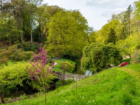 View up a valley in a natural park or garden with wooden bridge over a river and lake in the North of England