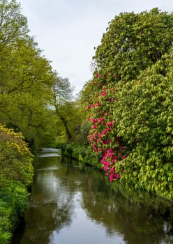 View up a valley in a natural park or gardenwith calm river in the North of England