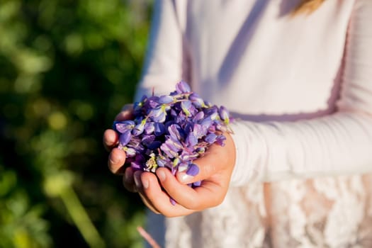 portrait of cute little happy two year old kid girl with bloom flowers lupines in field of purple flowers. nature outdoor.