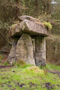 Victorian folly of Druids Plantation with standing stones created in forest in Nidderdale Yorkshire
