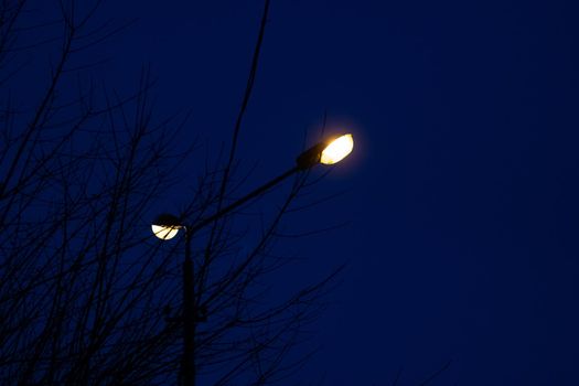 Two lamps of a street lamp on a background of blue night sky