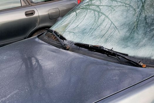 Hood and car glass with hoarfrost close up