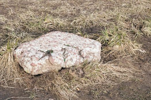 Big stone in yellow autumn grass close up