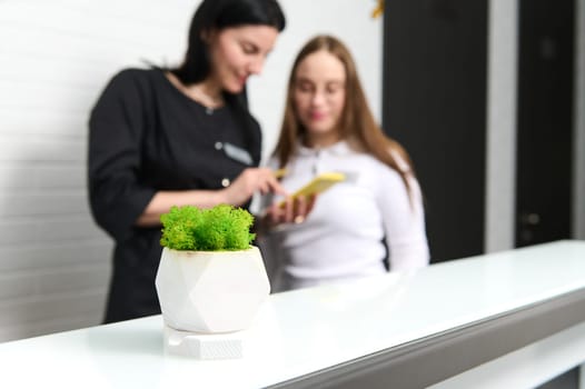 Focus on a white pot with moss on the reception desk over blurred background of a receptionist and doctor dentist, GP or medical staff checking appointments with patients in modern medical clinic