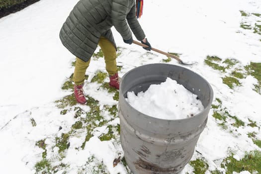 a middle-aged woman is collecting snow in a barrel with a shovel. For further watering plants in a greenhouse, the concept of protecting the environment and conserving natural resources