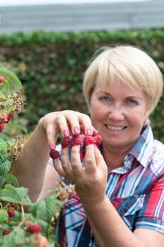 a middle-aged woman put raspberries on her fingers and shows her original berry summer manicure. High quality photo