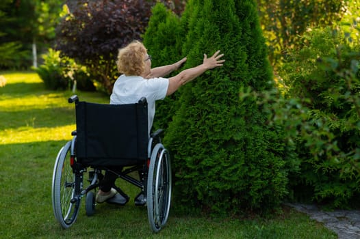 Happy elderly woman in a wheelchair rejoices in a walk outdoors