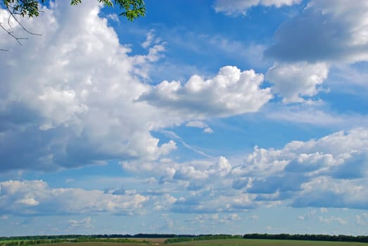 Crimean peninsula. The sky above the flowering field