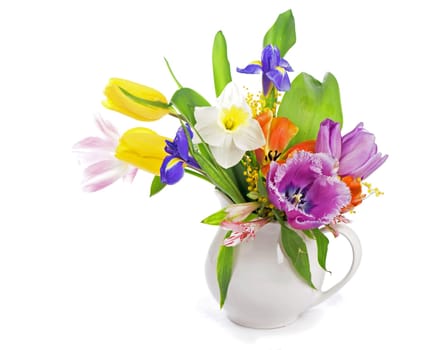 spring flowers isolated on a white background