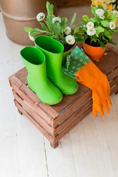 Close-up of green fresh grass composition, flat lay, with red and pink flowers, straw hat, rubber green boots and gardening tools