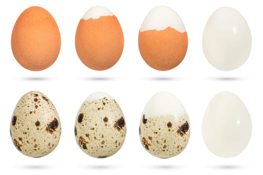 Quail and chicken eggs. The process of cleaning boiled eggs from the shell on a white isolated background. Eggs with varying amounts of shells. The concept of healthy and diet food