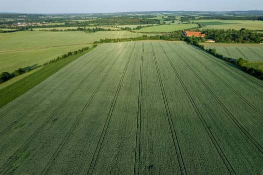 From height one can appreciate picturesque rural landscape with its vast fields vibrant green wheat.