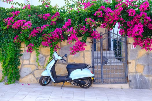 Old European street. The walls are covered with ivy, flowers, a white scooter parked. View of traditional street, house and bougainvillea flowers in Bodrum city of Turkey. download photo