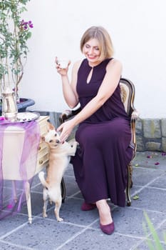 beautiful young blonde girl drinks tea on the veranda and plays with her pet dog, retro style, vintage, smiling girl in a dark purple evening dress, summer fashion. High quality photo