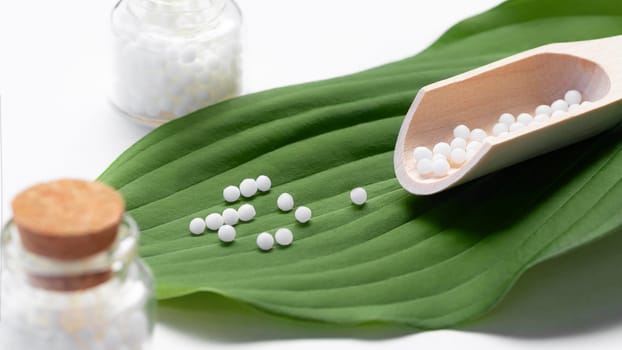 Homeopathic pills scattered from a wooden scoop on a green leaf.