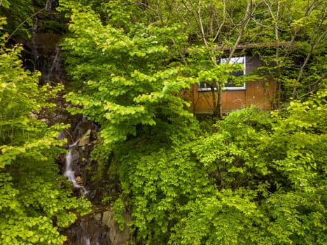 Abandoned mountain shack covered in green foliage by small waterfall. High quality photo