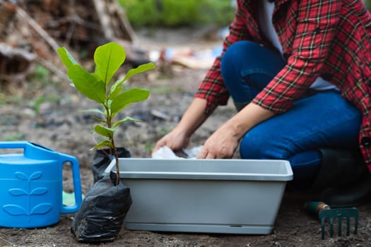 agriculture, botany, care, closeup, cultivate, cultivating, cultivation, digging, dirt, earth, eco, ecology, environment, female, garden, gardener, gardening, gloves, green, greenery, grow, growing, growth, hand, hands, hobby, holding, home, horticulture, landscaping, leaf, lifestyle, nature, person, plant, planting, pot, potted, potting, seedling, soil, sprout, summer, thumb, tool, transplant, transplanting, woman, work, working