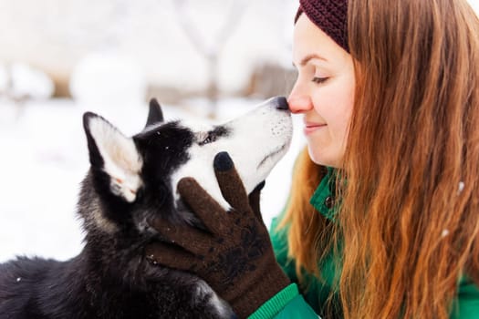 Beautiful woman playing with her dog black and white husky with blue eyes outdoor in winter